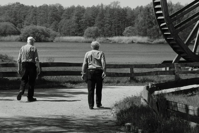 Rear view of senior people walking on footpath against trees