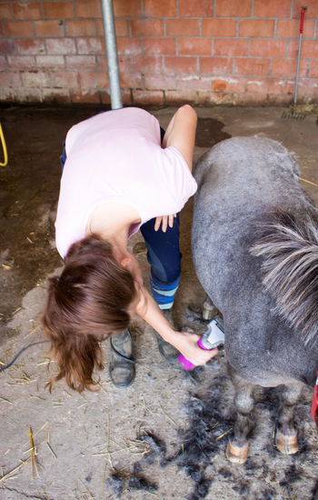 Full length of young woman trimming pony hair