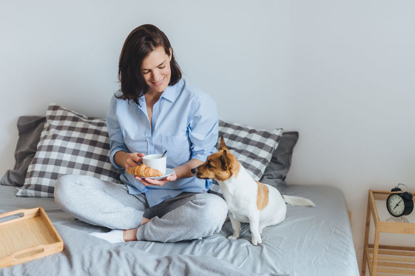 50 Dog Bed Pictures Hd Download Authentic Images On Eyeem