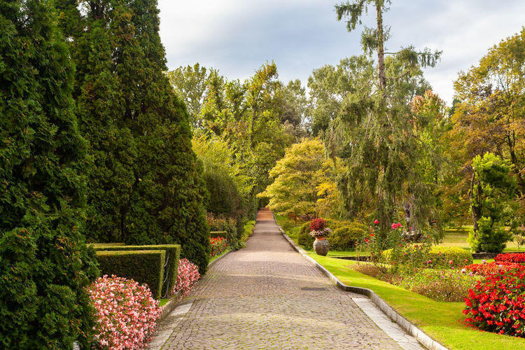 The botanical garden of wonderful villa taranto in verbania, lake maggiore, italy