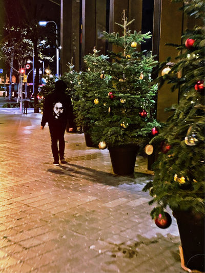 Full length of illuminated christmas tree at night