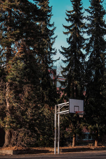 Low angle view of basketball hoop against trees