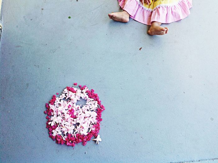 Low section of baby girl by flowers on floor