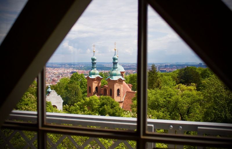 Trees and buildings seen through window