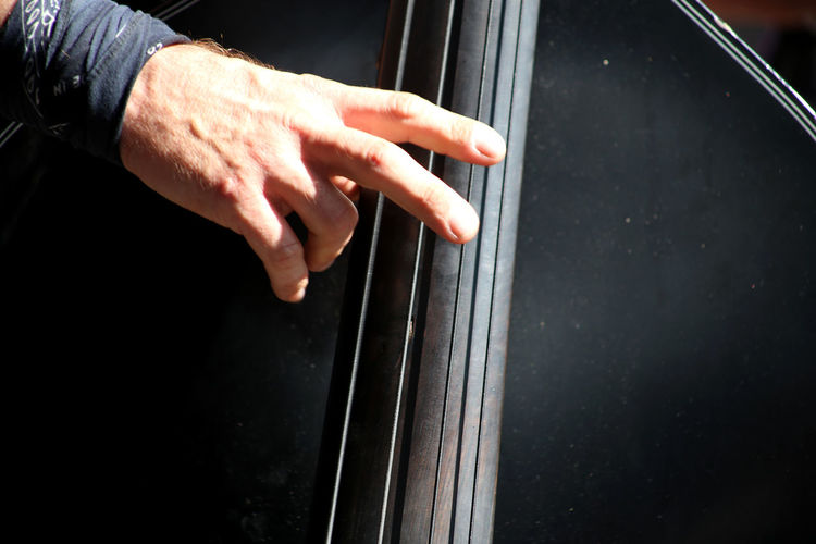 Close-up of man hand on double bass strings 