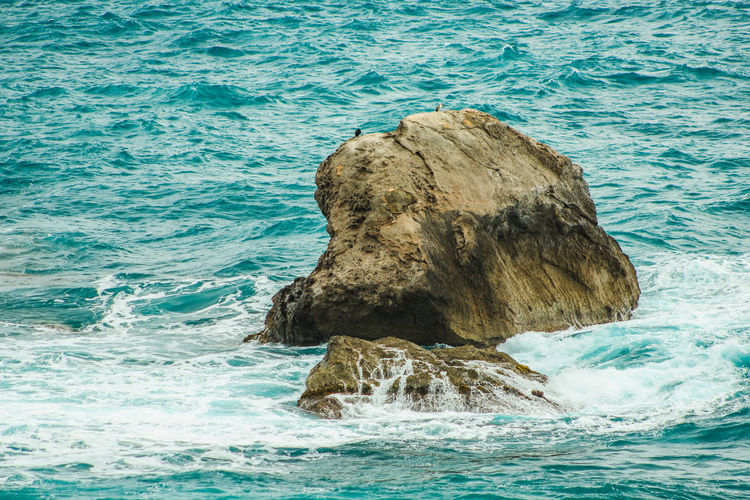 Birds perching on rock formation in sea