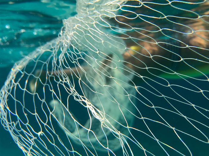 Close-up of net in water