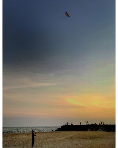 Silhouette birds flying over beach against sky during sunset