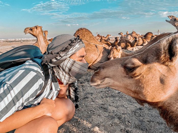 Kiss in the desert with camel