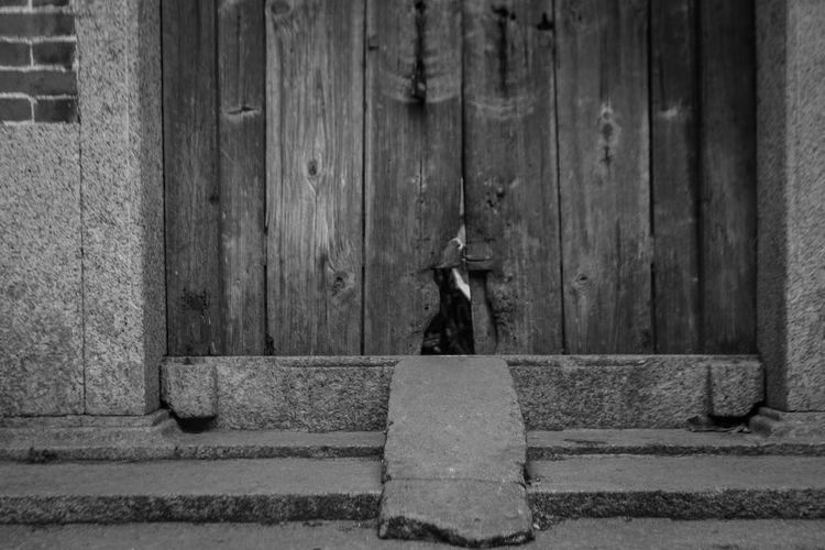 Rear view of person on wall