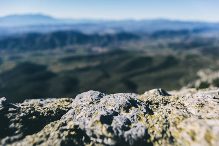 Close-up of rocks on land