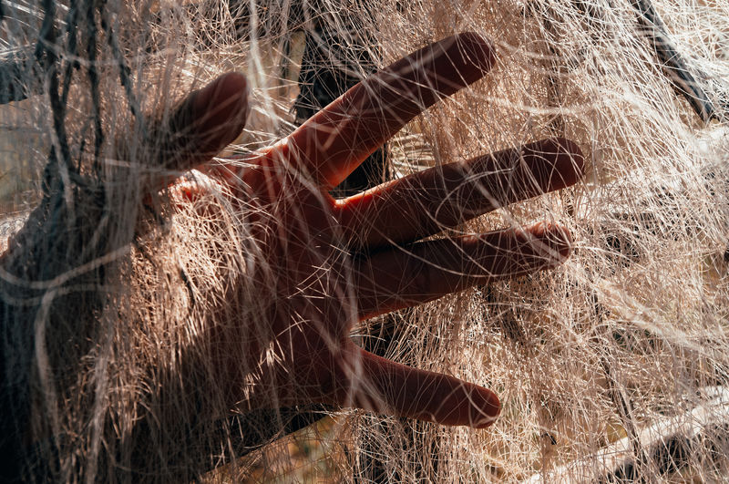Close-up of woman hand on leaf