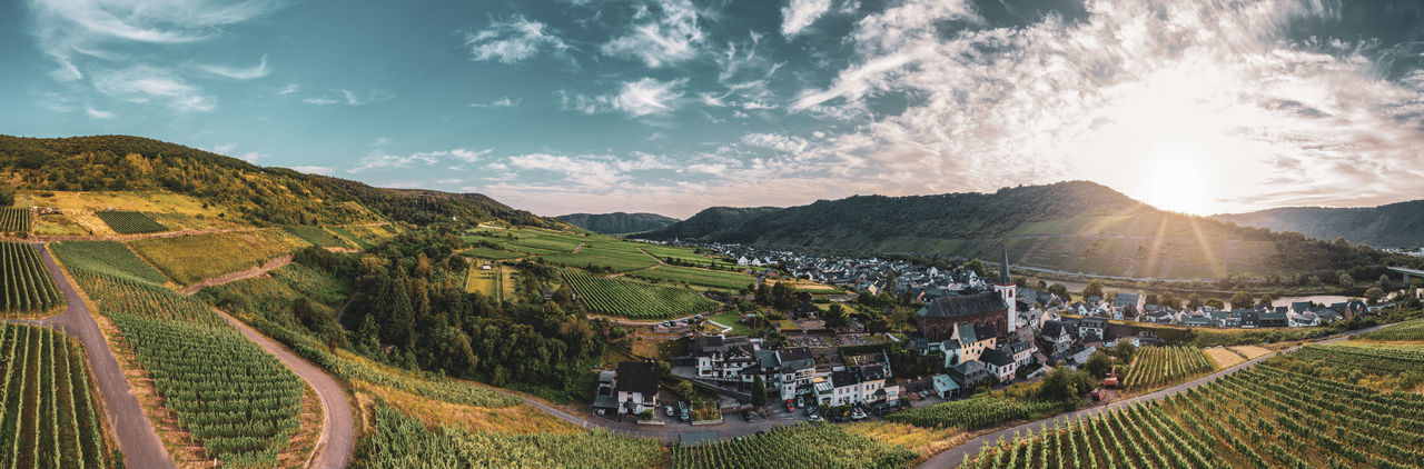 Panoramic view of the moselle vineyards near bruttig-fankel, germany. 
