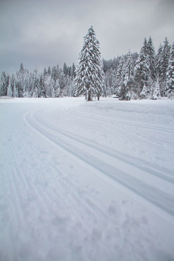 Cross country ski track in the bavarian alps