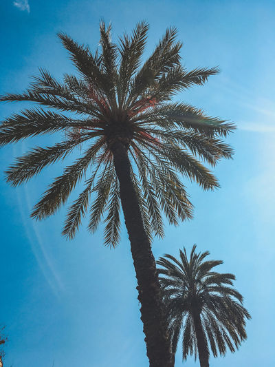 summer vibe