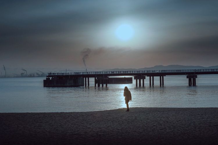 Rear view of man standing on pier by sea against sky during sunset