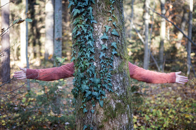 Human hand on tree trunk in forest