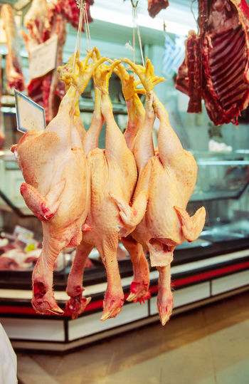 Chicken meat hanging at butchers shop for sale