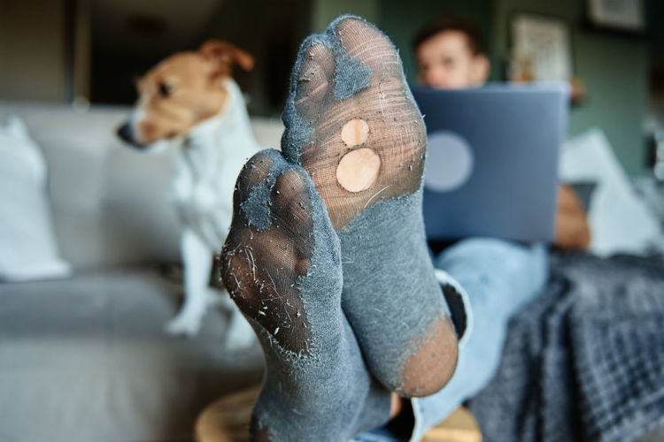 Man with leaky socks resting on sofa near dog, using laptop