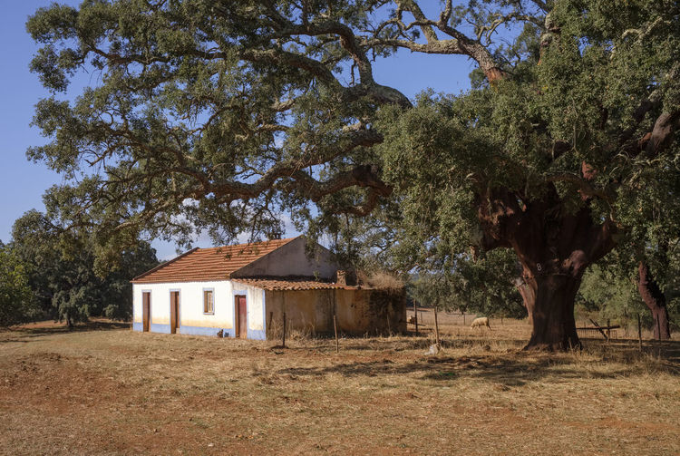 Old house on field by trees against sky