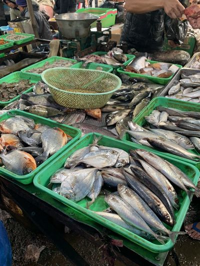 High angle view of fish for sale at market stall