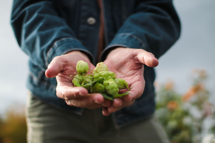 50 hand on hop pictures hd download authentic images on eyeem eyeem