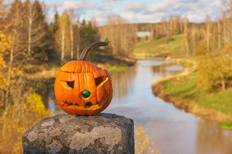 View of pumpkin on shore during autumn