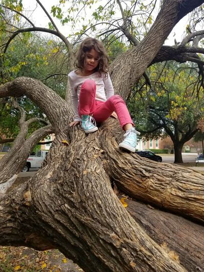 Full length of girl sitting on tree trunk