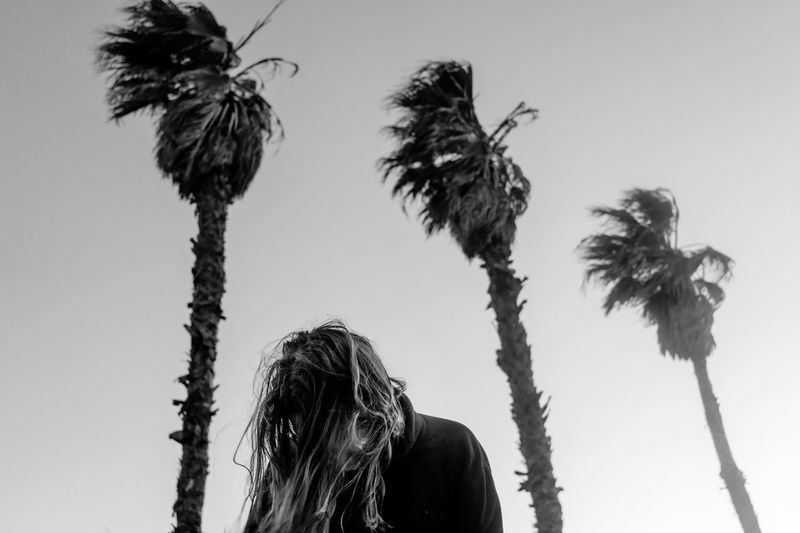 Low angle view of woman standing against palm tree against clear sky
