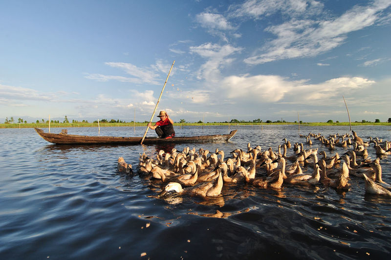 A man on a boat feeds ducks and blue sky