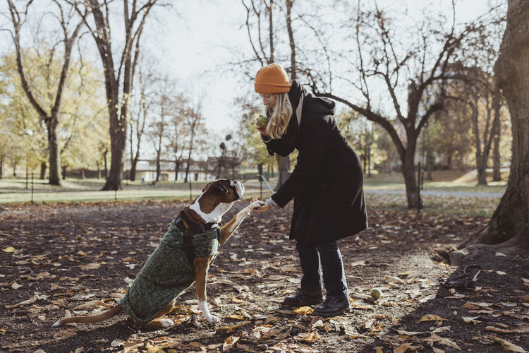 Full length of young woman and boxer dog with handshake at park