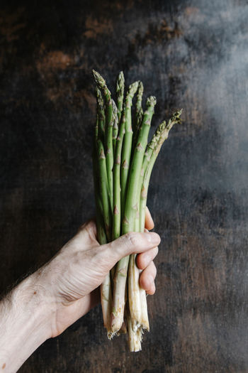 Crop person holding bunch of green asparagus