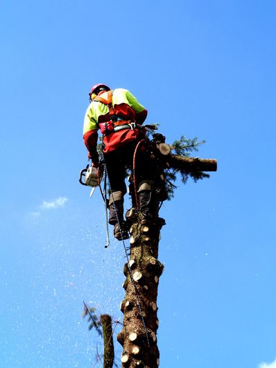 Low angle view of man standing on tree against blue sky