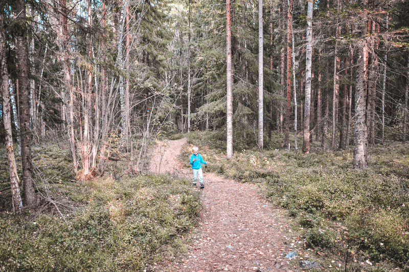 Rear view of boy walking in forest