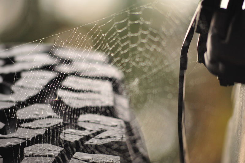 Close-up of spider web by tire