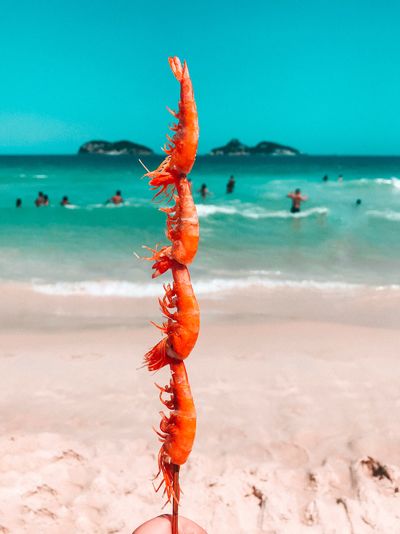 Close-up of hand holding skewer with shrimp