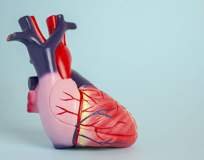 Close-up of heart model against blue background