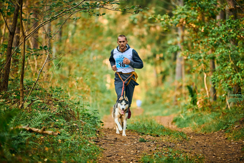 Man riding dog running in forest
