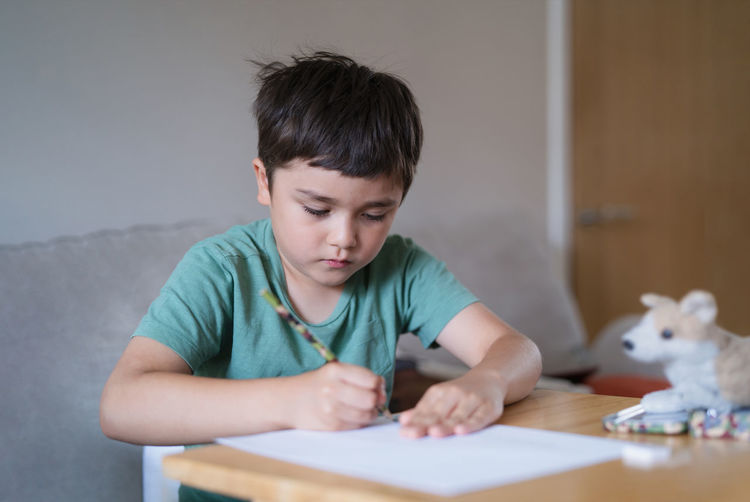 Portrait of boy holding table