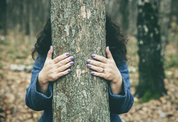 Midsection of person holding tree trunk in forest