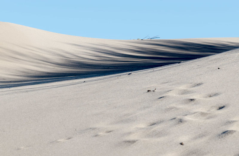 Scenic view of desert against clear sky