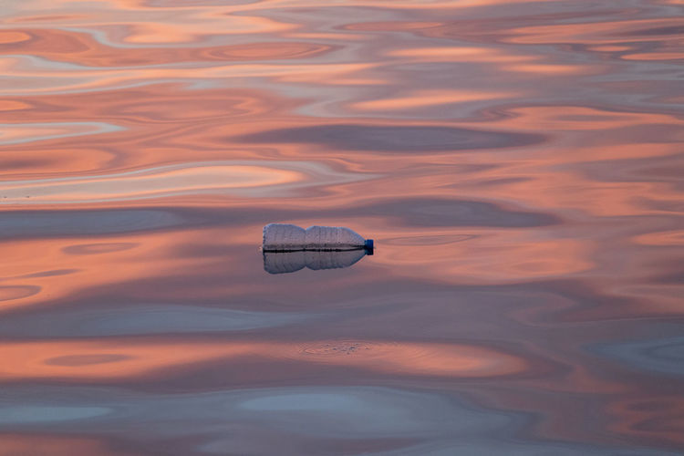 A carelessly discarded water bottle floating in the beautifully colored baltic sea during sunset.