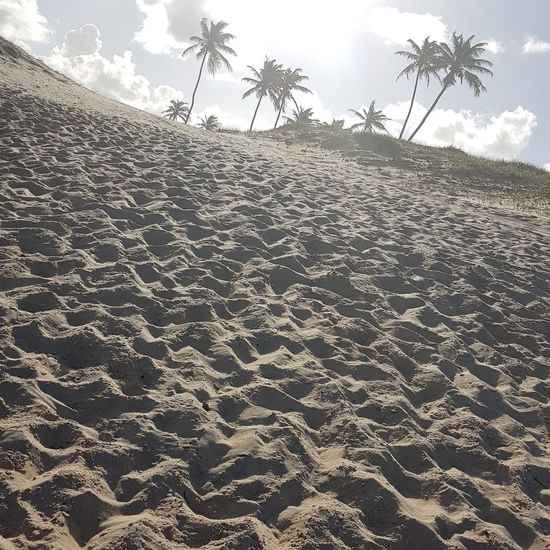 Low angle view of sand dune on beach against sky