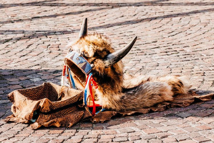 Headdress in american style with horns. part of traditional costume lying on the ground with box 