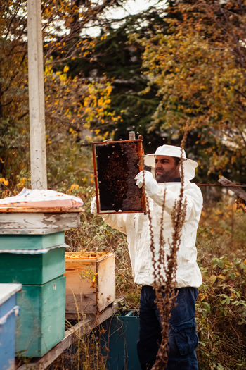 Beekeeper works with bee hives