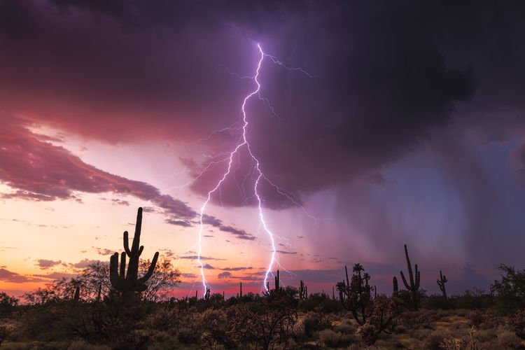 Lightning in sky during sunset