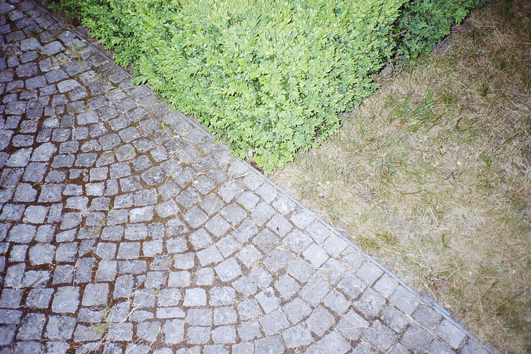 View of footpath