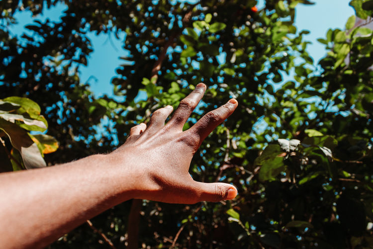 Cropped hand gesturing against tree