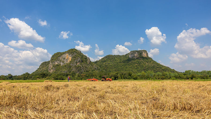 Scenic view of agricultural field against sky