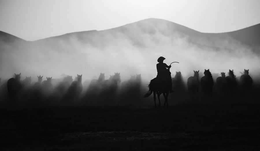 Chasing the Jades Silhouette Mountain Sky Landscape Real People Land Nature Environment Beauty In Nature Field Outdoors Horse Photography Horses Wildlife Cowboy Blackandwhite The Week On EyeEm Editor's Picks